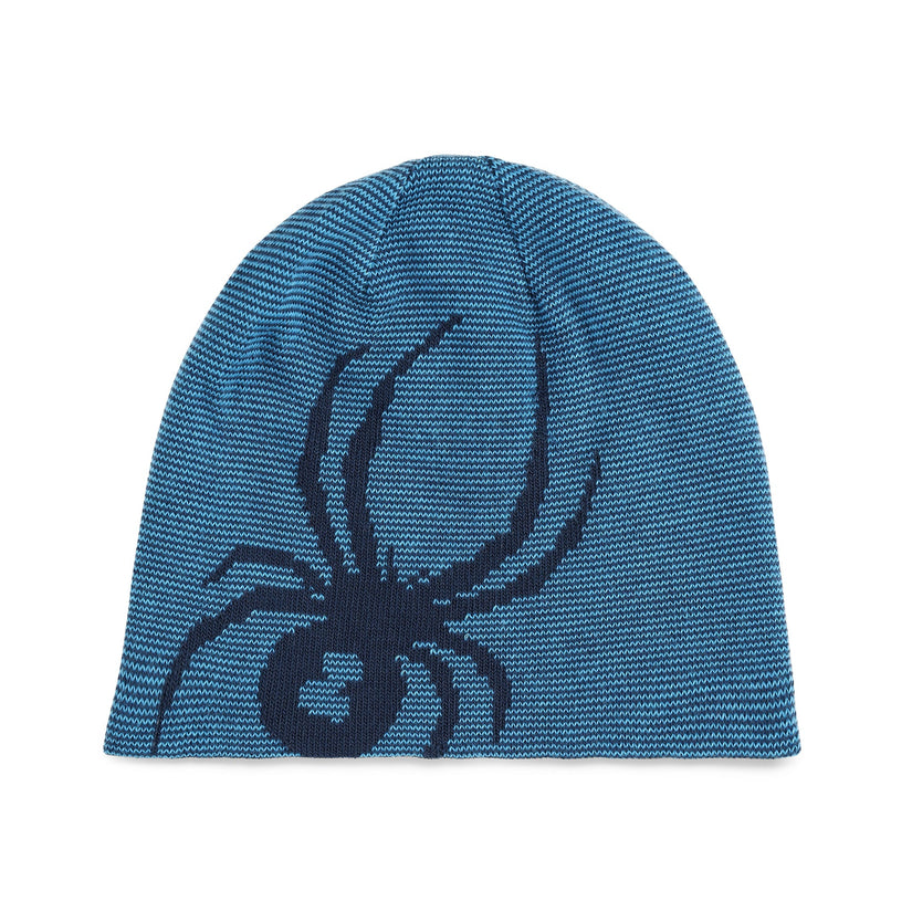 Reversible Bug - Aether Blue