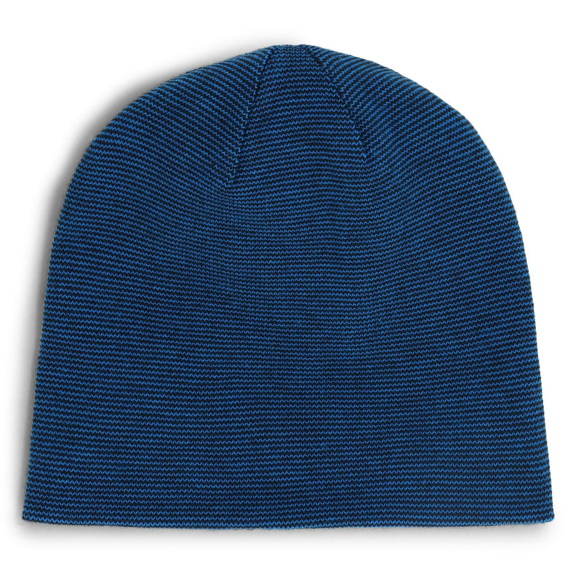 Reversible Bug -Cobalt